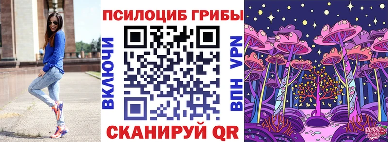 OMG ссылка Белоозёрский Псилоцибиновые грибы прущие грибы